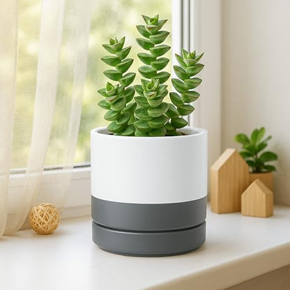 D'vine Dev 3-Pack Ceramic Pots with Saucers, 4/6/8 in, White/Grey, 94-T-M-6 | Glazed Ceramic, Drainage Hole, Perfect-Fit Saucer, Sleek Cylinder Shape, High Temperature Fired, Elegant Home Accent - color: White/Speckled Grey, size: 4"+6"+8"
