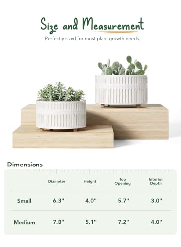 LE TAUCI Succulent Planters, 6.5+8 Inch Ceramic Indoor Plant Pot with Drainage Hole, Shallow Round Succulent Pots, Set of 2, Reactive Glaze White - color: Reactive Glaze White