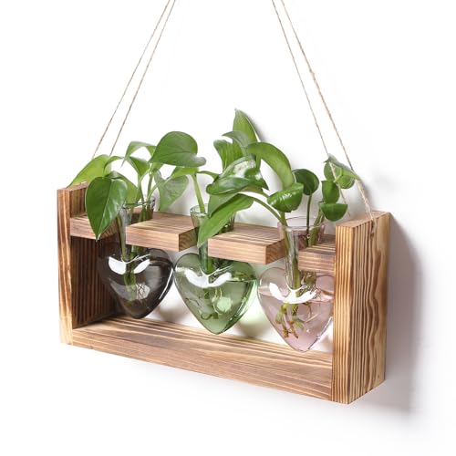 Plant Terrarium Propagation Stations Hydroponics | Home Garden Decoration Gift for Women with Wooden Stand Heart Shaped Colored Glass Vase - color: Color 2