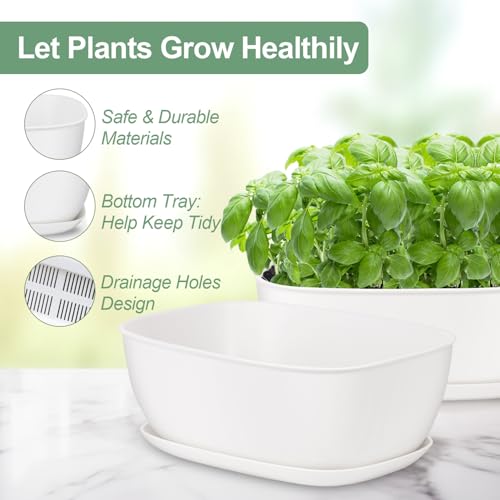 Set of 8 White Oval Shallow Herb Garden Planters with Drainage Holes and Trays (8.66 Inch) Plant Pots for Herbs Basil Orchids Succulents, Modern Herb Garden Planter for Indoor/Outdoor Plants - size: 8.66 x 6.1 x 3.39-inch