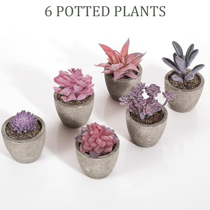 Set of 6 Artificial Succulents Potted - Realistic Mini Fake Cactus Plants in Paper Pulp Pots, 2-4'' Mixed Sizes for Farmhouse Shelf, Bathroom, Coatrack Shelf, Bedroom Indoor(Elegant Style) - style: Elegant Style