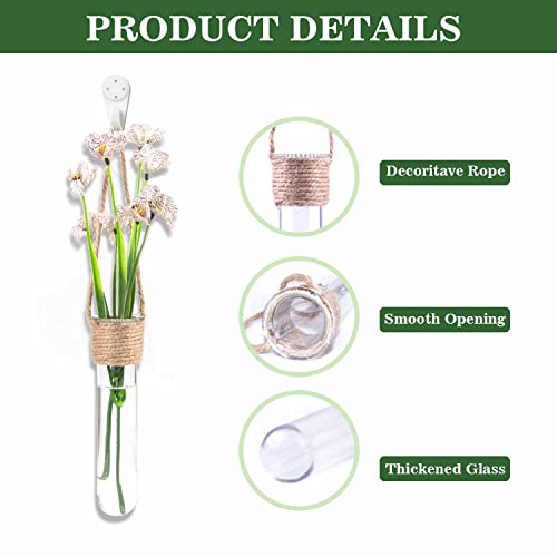 ARTORA Plant Propagation Hanging Glass Planter Terrarium Wall Mounted Decorative Flower Vase Hydroponic Plant Cultivation Test Tube for Home Office Decor (4PCS)