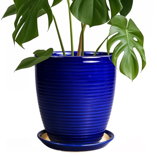 Round Ceramic Planter - Modern 8 Inch Plant Pot with Drainage Hole and Tray for Flower Indoor Outdoor Garden Decor Blue - color: Glossy Blue, size: 8 Inch