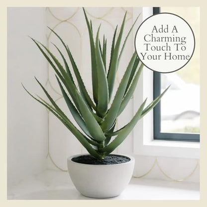 CG Hunter Faux Agave Plant, Premium Artificial Indoor Plant Stands 31.5” Tall and Enhances Interior Design, Lifelike-Leaves Create Realistic Natural Appearance, Planter Pot Included - size: 31.5" Agave