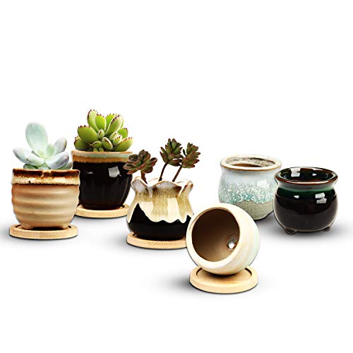2.1 Inch Ceramic Small Succulent Pot,Plant Pots,Mini Flower Pots | Ceramic Succulent Pots with Drainage,Small Planter for Mini Plant Flowing Glaze Base Serial Set with Holes for Indoor,Outdoor - size: 2.3inch-6pack