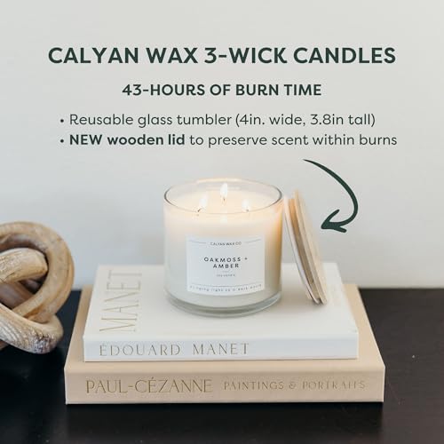 Mahogany & Cashmere 3 Wick Scented Candle - 43 Hour Burn | Made in the USA Luxury Clean Soy Wax Candles - Long Lasting Large Glass Jar Candle for Home - 3 Wicks - 14.9oz - color: Mahagony + Cashmere