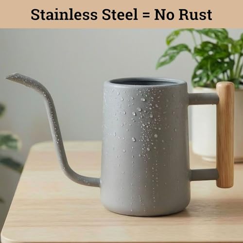 Metal Small Indoor Watering Can with Long Spout & Real Wood Handle, 35oz | Long Spout, Stainless Steel, Real Wood Handle, Gentle Flow, No Spills, Suitable for House Plants, Succulents & Seedlings - color: Gray