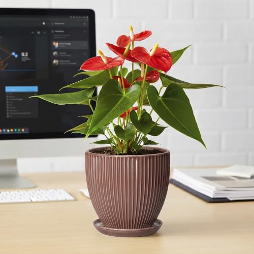Ceramic Pots for Plants 6 Inch, Ceramic Plant Pots Indoor with Drainage Hole and Saucer, Modern Flower Pot, Round Decorative Planter, Living Room Home Decor, House Warming Gifts, Rust Red - size: 6 Inch, style: Rust Red