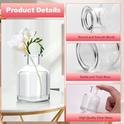 12 Pcs Bud Vases, Clear Glass, 2 x 2.8 Inch | Mini Flower Vases, Small Glass Living Bud Vases Bulk for Flowers Centerpieces, Table, Home and Living Room Decor