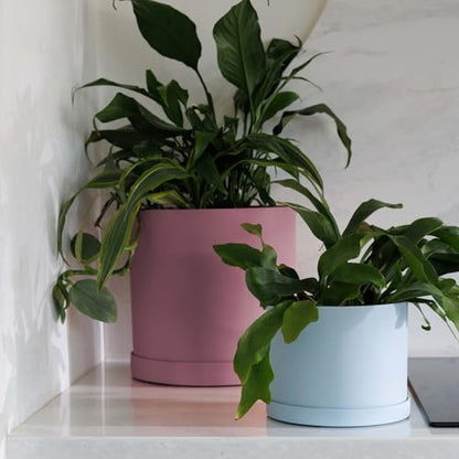 Bloem Mathers 10" Plastic Planter - Modern Indoor Pot with Drainage Holes and Saucer Tray, Dusty Rose - color: Dusty Rose, size: 10"