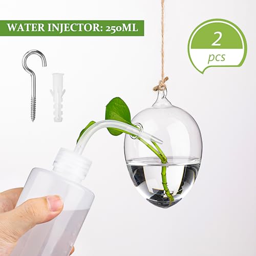 Zopeal 6 Set Wall Hanging Glass Planter Terrarium Propagation Station Vase Container Watering Squeeze Bottle with Rope and Hook for Hydroponic Plants Flower Home Decor Gifts (Classic Style)