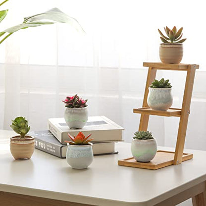 T4U Small Ceramic Succulent Pots with Drainage Set of 6, Mini for Plants, Tiny Porcelain Planter, Air Plant Flower Cactus Faux Plants Containers, Modern Decor Home and Office