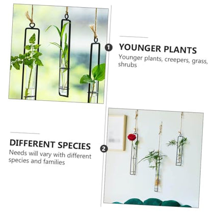 Hanging Glass Hydroponic Vase Set 3pcs with Test Tubes and Iron Frames, Wall-Mounted Plant Propagation Station for Home Décor and Garden Display, Includes 3 Hemp Ropes and 3
