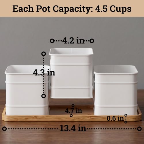 Herb Planter Indoor, 3-pc Herb Pots w/ Drainage Holes, Bamboo Tray & Labels | Iron Herb Pots, Varnished Bamboo Tray with Anti-Skid Base, Customizable Oval Sticker and Stick Labels & Chalkboard Marker Pen - color: White