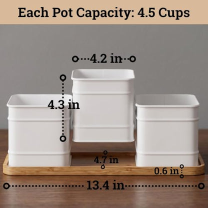 Herb Planter Indoor, 3-pc Herb Pots w/ Drainage Holes, Bamboo Tray & Labels | Iron Herb Pots, Varnished Bamboo Tray with Anti-Skid Base, Customizable Oval Sticker and Stick Labels & Chalkboard Marker Pen - color: White