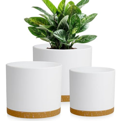 Large Plant Pots Set of 3 – 8", 9", 10" Indoor Flower Pots with Drainage Holes and Saucers, Big Planters for Monstera, Fiddle Leaf Fig, Snake Plant – 5 Colors - color: White With Brown Base