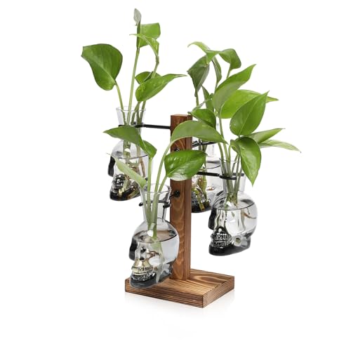Plants Propagation Stations Skull Glass Propagation Birthday Gift for Women | Garden Plant Lovers - 4 Skull - color: Gray