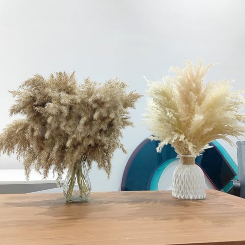 25 Stems Home Decor - Natural Dried Pampas Grass, Brown Pompas Grass, Dry Small Pampas Bulk for Living Room Table Decor, Boho Decor, Party Wedding Decor , Gift(17.7 inch, 20 Brown & 5 Female Pampas ) - size: 20brown & 5female - 17 Inch