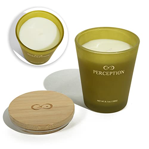 PERCEPTION AROMAS Luxury Scented Candle | Bamboo Jasmine | Hand Poured Soy Wax Candle with Gift Box | Elegant Fragrances | 50 Hour Burn Time (8.1 oz) - color: Bamboo Jasmine