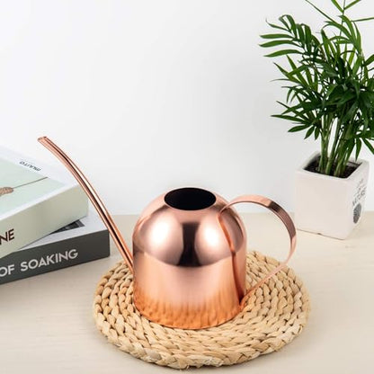 IMEEA 30oz Indoor Plant Watering Can Stainless Steel Long Spout, Rose Gold - color: 30oz (1l) - Rose Gold