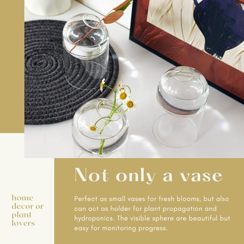 3-Pack Glass Plant Propagation Station, Planter Hydroponics Vase, Clear Glass Vase Set | Bud Vase & Mini Terrarium with Removable Base - color: Clear*3
