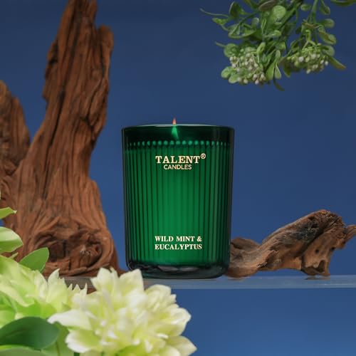 Jar Candles for Home Scented, Aromatherapy Candles Gifts for Women & Men, Natural Soy Candle, 8.4oz Traditional Style, Wild Mint & Eucalyptus - color: Wild Mint & Eucalyptus