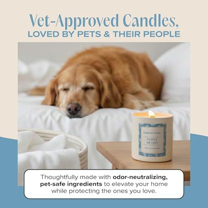 Cuddle Me Cozy Pet-Friendly Scented Candle – Linen, Cotton & Musk Fragrance - Coconut Soy Wax Candle with Wooden Wick, Approx. 50-Hour Burn Time, Made in USA, 11.8 oz - color: Cuddle Me Cozy