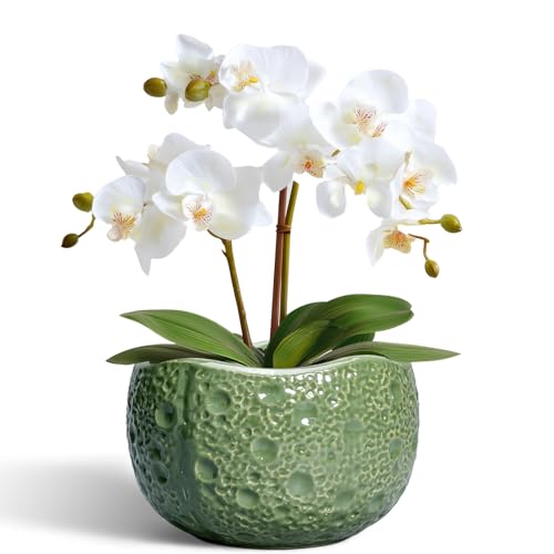6 Inch Plant Pot - Orchid Pot with Drainage Hole, Ceramic Planter for Indoor Outdoor, Decorative Plant Pots, Modern Round Unique Flower Pots, Living Room Decor, Gifts for Women Men, Green - color: Green, size: 6.2 Inch