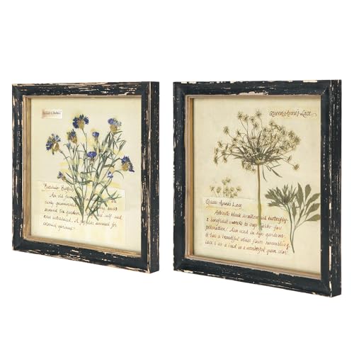 NIKKY HOME Botanical Wall Art Set of 2, Vintage Wood Framed Prints 10"x 10" | Decorative Dried Floral Picture with Glass Front, Elegant Flower Rustic Black Wooden Frame Decor for Bathroom Bedroom Hallway - color: Picture-02