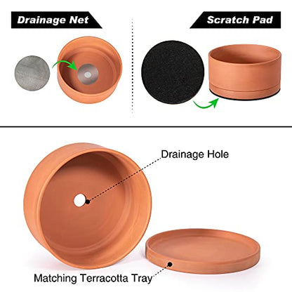 D'vine Dev Terracotta Shallow Planter Pot with Saucer, 10 in, 40-Y-B-0 | Wide Bowl Design, Unglazed Terracotta, Porous & Breathable, Minimalist Style, Ideal for Succulent Arrangements - size: 10 Inch