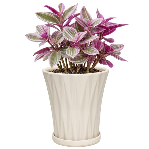 6.6 Inch Ceramic Planters with Drainage Hole and Saucer,Indoor Outdoor Large Flower Pots, Garden Pot for Plant Lovers (White) - color: White, size: 6.6 Inch