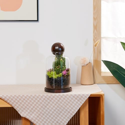 Tall Glass Terrarium Jar: House for Succulent Plant/Moss/Fish | Mini Table with Wood Base/Ball lid Office Home Decoration - size: H-9.8IN