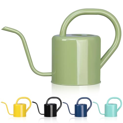 Watering Can, Stainless Steel Watering Can for Indoor & Outdoor Plants, 1L/35oz Long Spout Water Can with Handle, Rust-Proof Plant Watering Pot for House Plants, Garden Flowers - color: Green