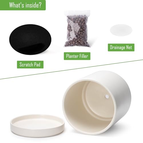 D'vine Dev 10 Inch Ceramic Planter Pot, Oatmeal, 94-O-E-8 | Modern Cylinder Design, Drainage Hole & Saucer Included, Stable Structure, Elegant Home Accent - color: Oatmeal, size: Large
