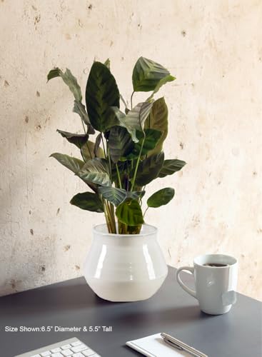 Serene Spaces Living Ivory Ceramic Pot Vase - Elegant Glossy Finish, Timeless Flared Design, Perfect for Floral Arrangements, Modern Home Décor & Gift Ideas, 6.5" Diameter & 5.5" Tall, Pack of 12