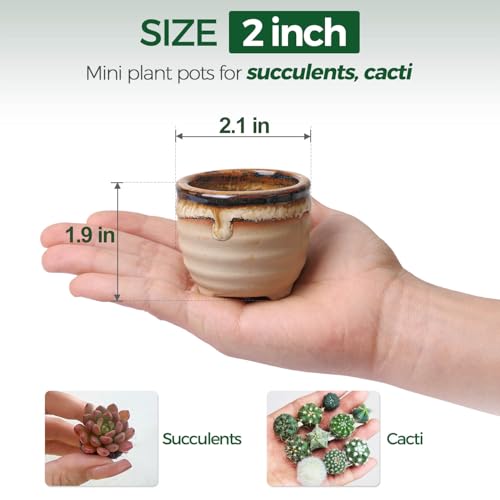 T4U Small Ceramic Succulent Pots with Drainage - Set of 12, Mini Pots for Plants, Home and Office Decor, Plant Lover Gifts for Women | Planters with Drainage, for live cactus plants, bonsai starter pots, indoor windowsill decor, office desk top accents -