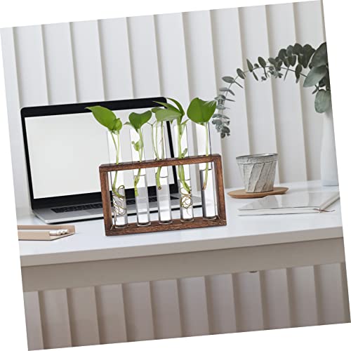 GALPADA Hanging Plant Propagation Station Set Hydroponic Glass Tubes with Cleaning Brush for Home and Office Decoration Wall-Mounted Plant Vase