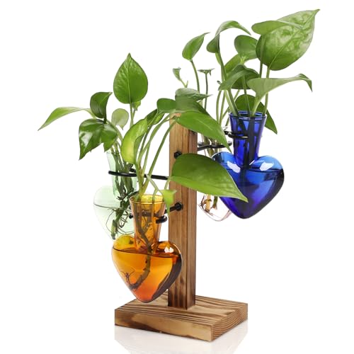 Plant Terrarium Propagation Stations with Wooden Stand | Glass Vase for Indoor Hydroponics Home Garden Office Decoration Gift for Women - 4 Love Bulb Vase - color: Color-01