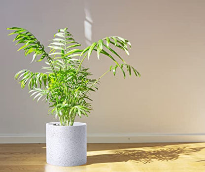 D'vine Dev 3-Pack Plastic Pots, 6.5/8/10 in, Speckled White, 74-V-E-4 | Multi-Size Options, Lightweight Durable, Matte Finish, Cylinder Shape, Drainage Holes, Sleek Design, Detachable Saucer - color: Speckled White, size: Large
