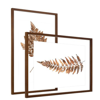 DLQuarts 20x30 Floating Picture Frame for 18x24/16x20/13x19/12x18 Photos, 2-Pack Solid Wood Double Plexiglass Wall Art Frames, Any Size Photo up to 20x30 Display, Black Walnut - color: Black Walnut, size: 20x30
