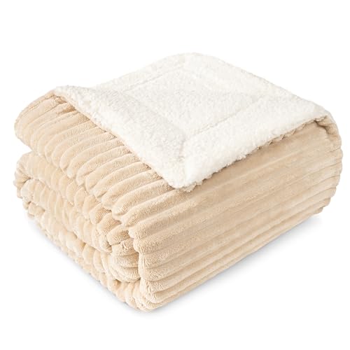 PAVILIA Beige Sherpa Fleece Throw Blanket for Couch Twin, Soft Plush Fuzzy Blankets, Fluffy Flannel Sherpa Blanket for Bed, Warm 3D Ribbed Winter Blanket Gift, 60x80 inches - color: Cream Beige, size: 60 x 80 Inches - Twin