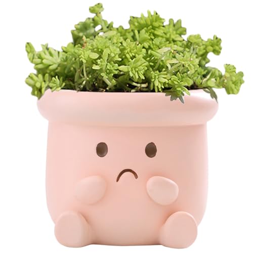 Cute Face Planter Pot, Small Resin Head Planters for Indoor Plants, Funny Smiling Face Flower Pot Succulent Planter with Drainage Hole, Gift IdeaI for Birthday Christmas (Pink) - color: Pink