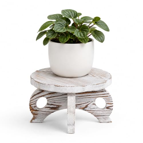 White Wood Plant Stand, Small Round Pine Pot Riser for Indoor Plants | Rustic Farmhouse Tabletop Flower Pot Holder, Decorative Mini Planter Stool for Living Room, Office, Shelf and Entryway - color: White, size: Pine