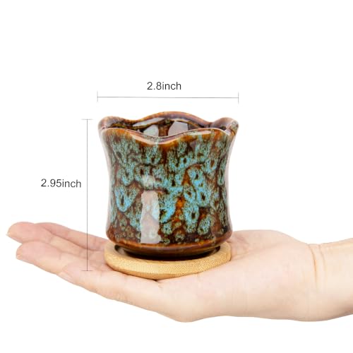 Succulent Pots with Drainage Tray, Cute Ceramic Pots for Plants Set of 6 - color: 2.8"colorful - 6pcs