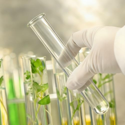 Veemoon 4pcs Plant Propagation Glass Tubes Clear Plants Test Tubes Tiny Hydroponic Planter Vase Decorative Table Terrarium Propagation Station Accessory for Home Office Garden Hydroponic Cuttings