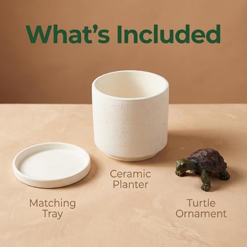 Nihow Ceramic Plant Pot with Resin Figure/Drainage Hole & Saucer,5.7 Inch | White, Cylinder Planters, Art Modem Design, Home Garden Patio Office - color: White+rt, size: 5.7 Inch