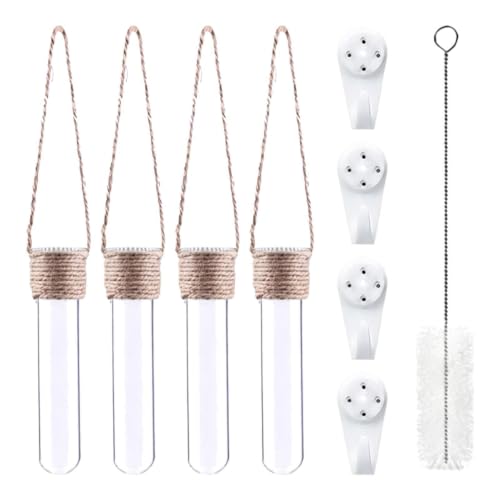 Propagation Tube, with Wall Mounted Design, 4 Piece Glass Plant Tubes | Clear Wall Terrarium, Hydroponic Plant Holder, for Home Décor