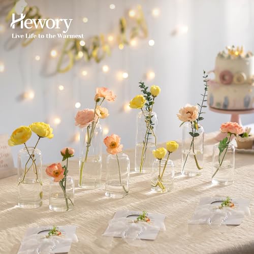 Hewory Glass Bud Vases for Flowers: 20PCS Modern Clear Small Vases Bulk | Centerpieces for Wedding, Party, Events, Floral Arrangement for Home Decor, Tall, Highball, Simple, Medium Bottle