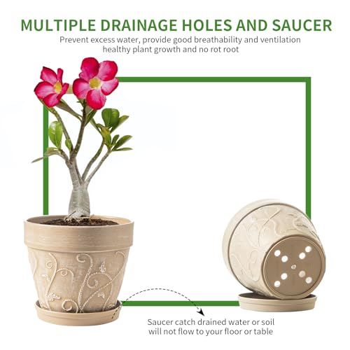 Indoor Plant Pots and Succulent Tools