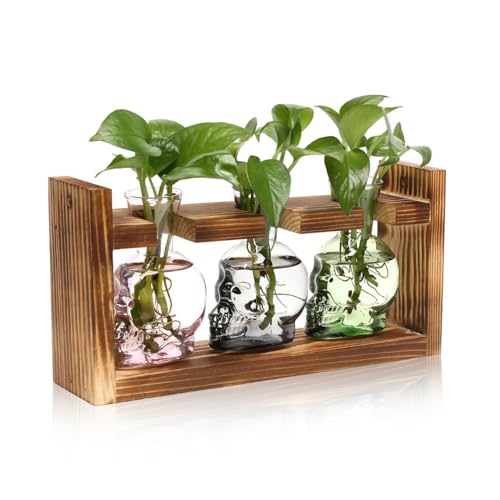 Plant Terrarium Propagation Stations Skull Planter Vase Skulls Decor | Hydroponics Halloween With Wooden Stand Gife for Father - color: Grey Green Pink